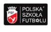 polska szkola futbolu