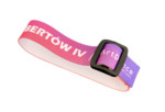 Wristband with regulation buckle